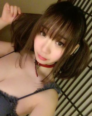 精品一区二区人妖_4K高清迅雷在线观看